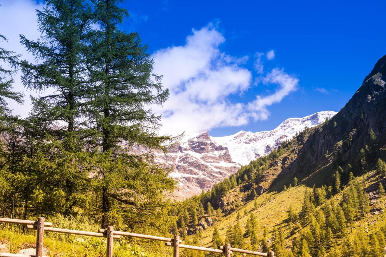 Alta Luce Mountain Lodge Gressoney-la-Trinité Dış mekan fotoğraf